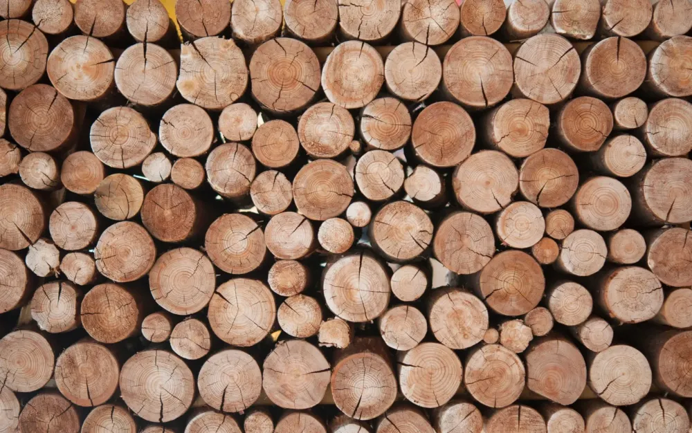 Vente de bois près de Fuveau 