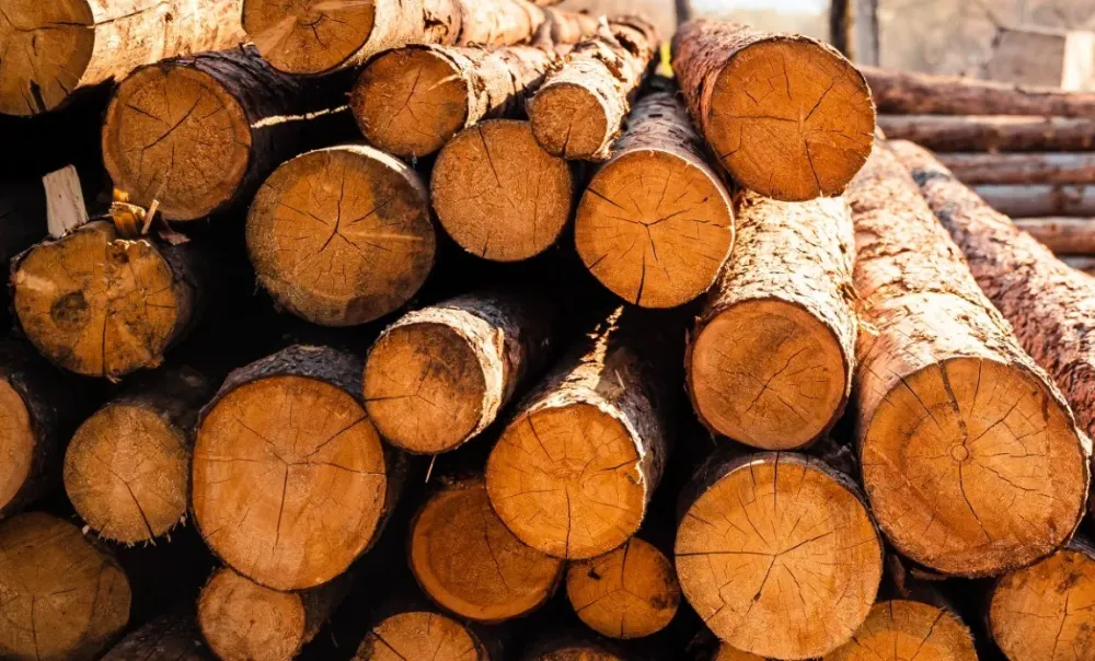 Fournisseur de bois près de Fuveau 